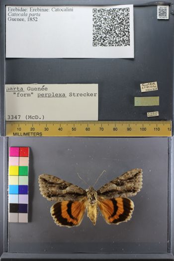 Media type: image;   Entomology 748370